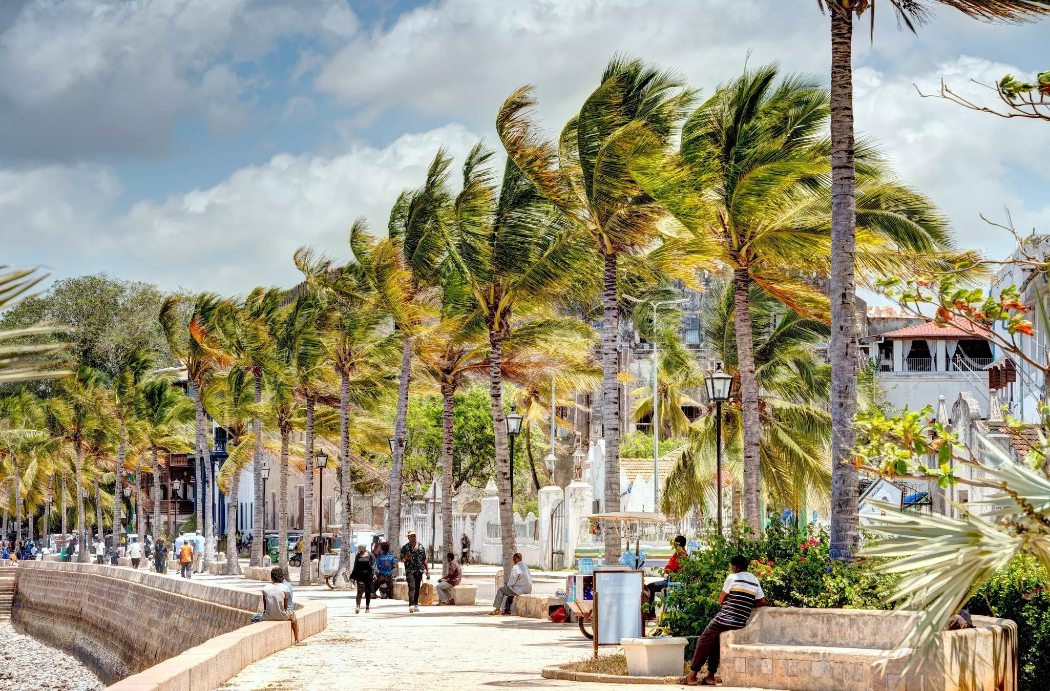 A row of palm trees blowing in a breeze and people sitting and walking on a bright promenade.