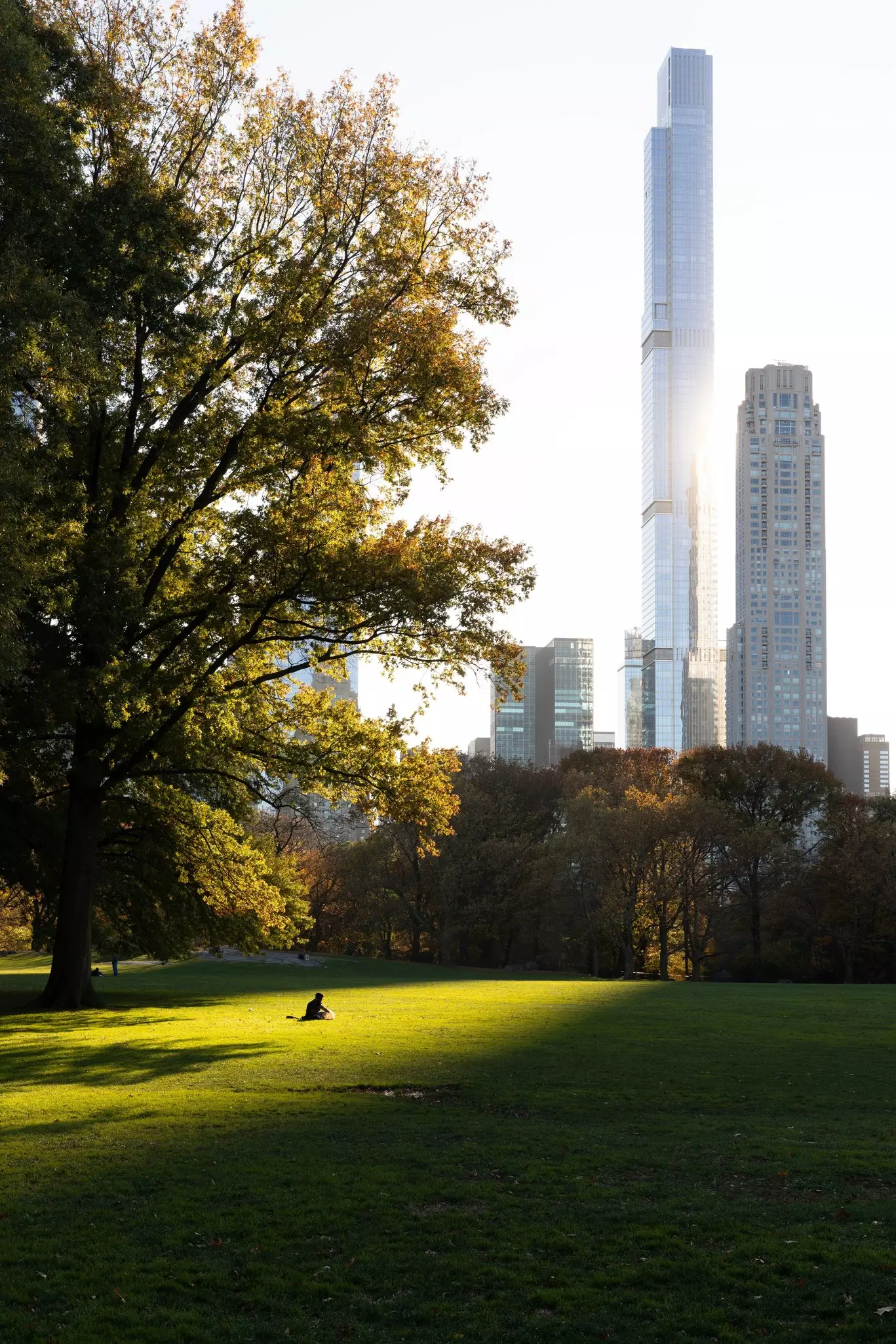 a man sits on a lawn of green grass with a tree overhead and sky scrapers in the background