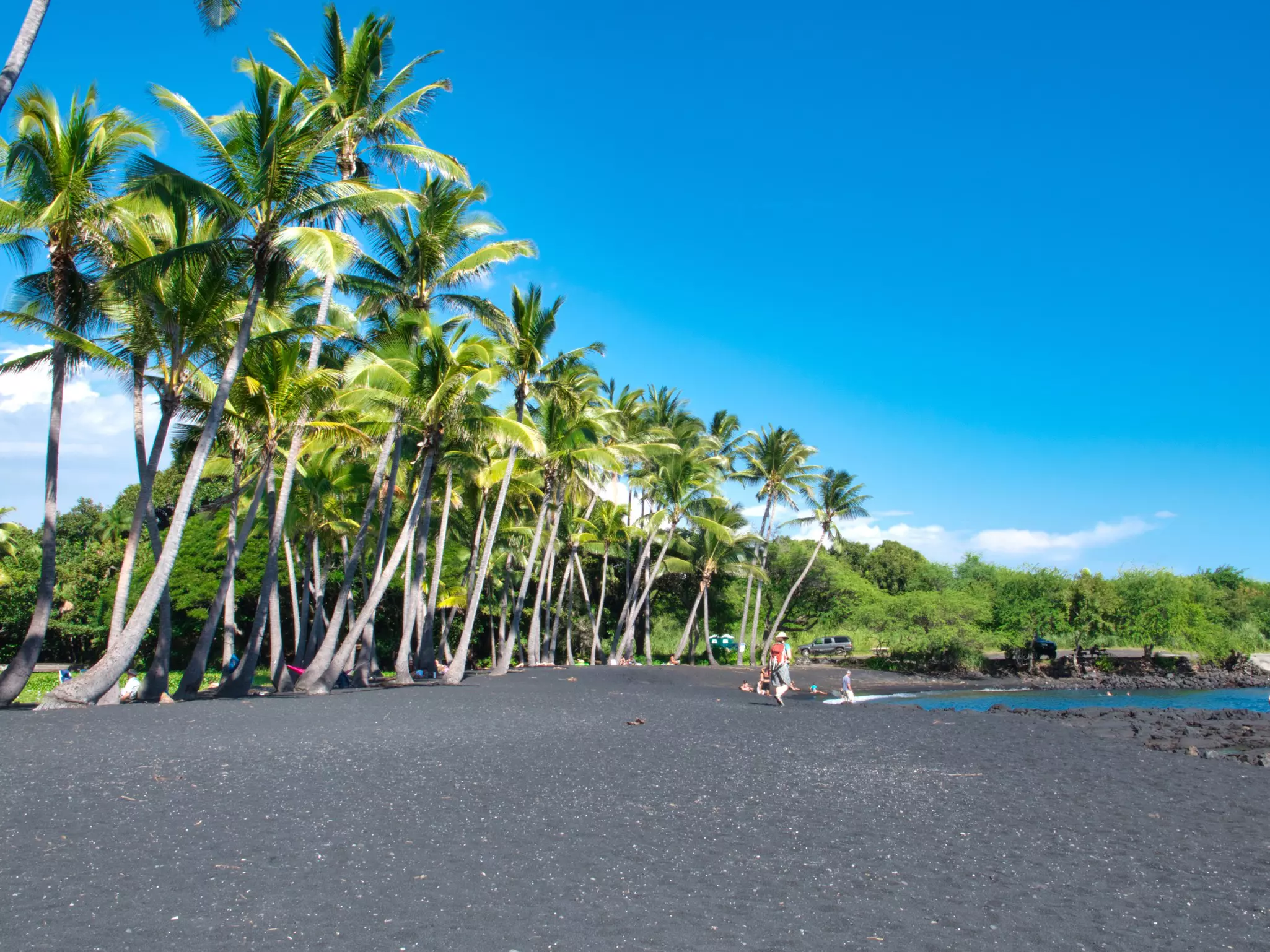 A black-sand beach is pictured before a row of palm trees
