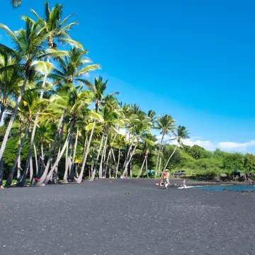 A black-sand beach is pictured before a row of palm trees