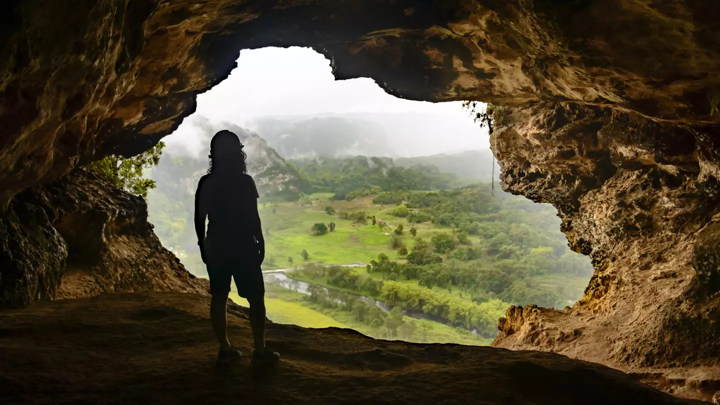 Person in silhouette looks out through the mouth of a cave to a green valley below.
