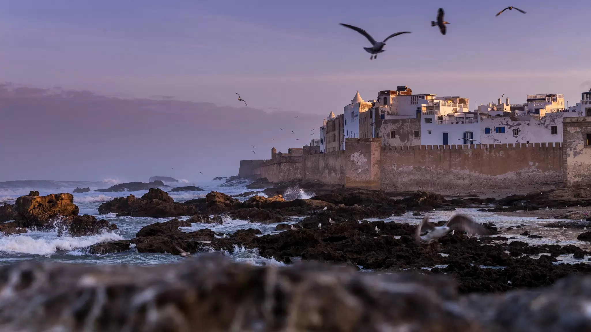 Exploring Essaouira's old city makes for a stunning, and free, adventure. Ruslan Kalnitsky / Shutterstock