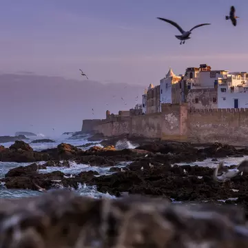 Exploring Essaouira's old city makes for a stunning, and free, adventure. Ruslan Kalnitsky / Shutterstock