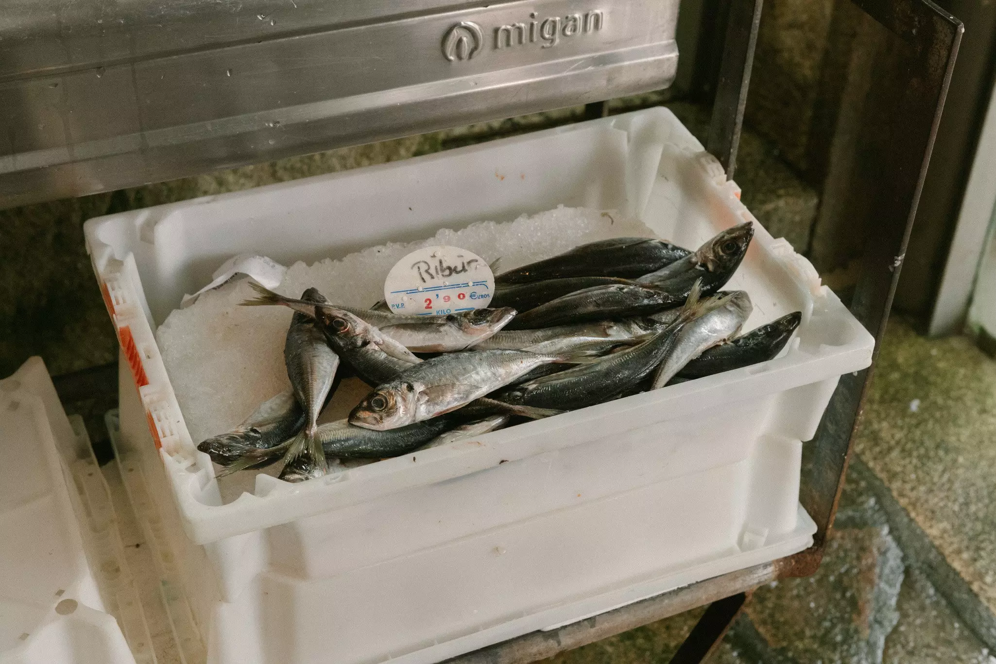 Grilled,Sardines,In,A,Herbal,Lemon,Marinade,On,A,Grill