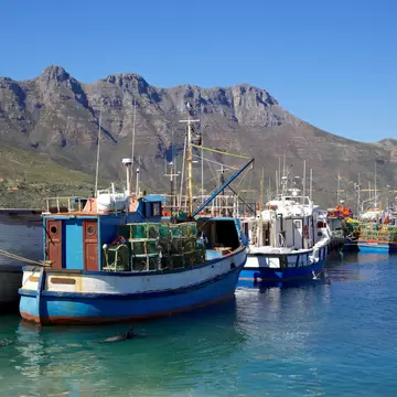 Fishing boats and Cape Fur Seals in Hout Bay Harbour, near Cape Town, South Africa. Chapman's Peak can be seen in the background.; Shutterstock ID 129909842;