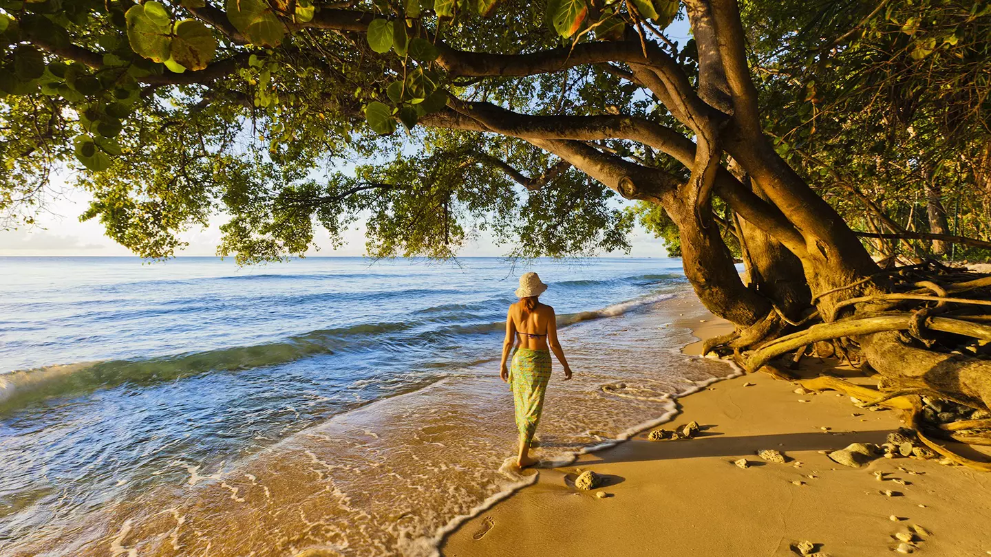 A woman wearing a straw hat, bikini top and sarong walks on the shore at Paynes Bay at sunset, Barbados
