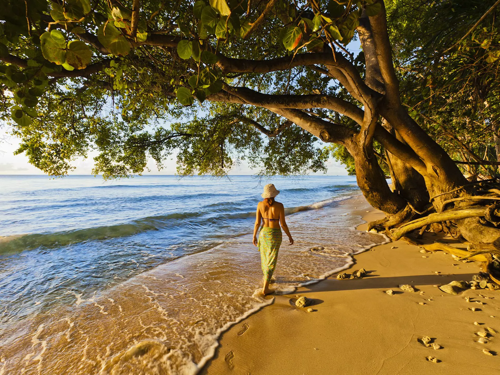A woman wearing a straw hat, bikini top and sarong walks on the shore at Paynes Bay at sunset, Barbados