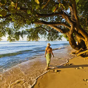 A woman wearing a straw hat, bikini top and sarong walks on the shore at Paynes Bay at sunset, Barbados