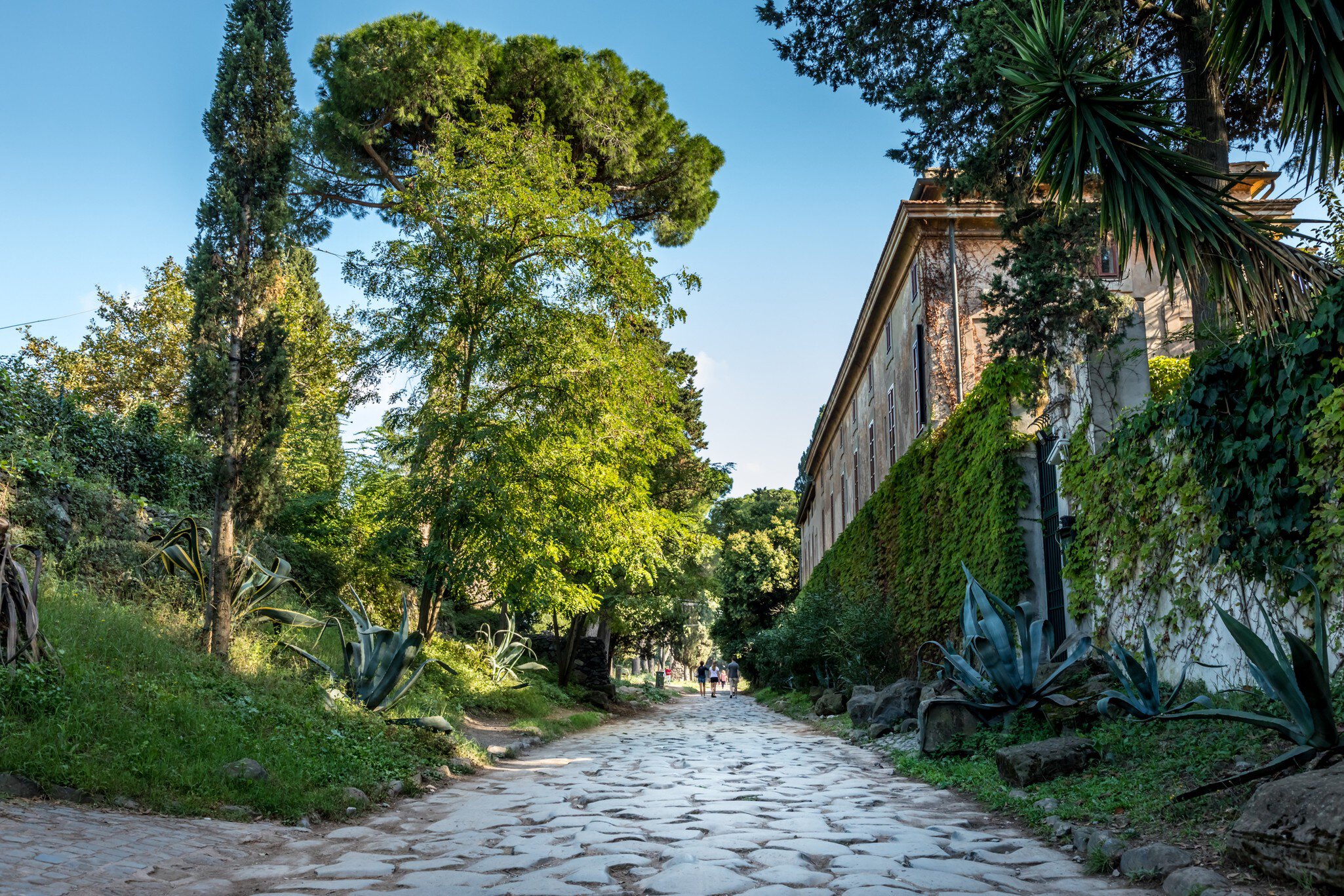 The ancient Appian Way (Via Appia Antica) lined with stone and pine trees near Rome, Italy