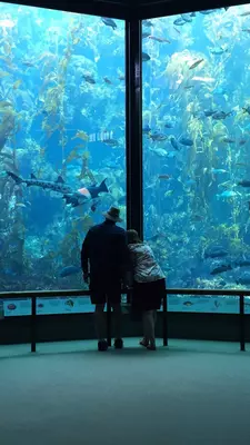 Two people stand in front of a large aquarium wall with fish swimming in it