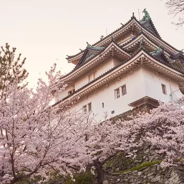 Wakayama castle during cherry-blossom Sakura season
1673408035
architecture, asia, asian, attraction, blossom, building, castle, cherry blossom, cherry blossom tree, cherry blossoms, cherry tree, city, culture, destination, facade, flower, garden, hanami, heritage, historical, history, japan, japan sakura, japanese, japanese castle, kansai, kinki, landmark, nature, old, oriental, outdoors, park, pavilion, pink, sakura, sakura japan, samurai, season, sightseeing, spring, sunset, tourism, tourist, traditional, travel, wakayama castle, wakayama japan, wakayama prefecture, wakayama sakura
