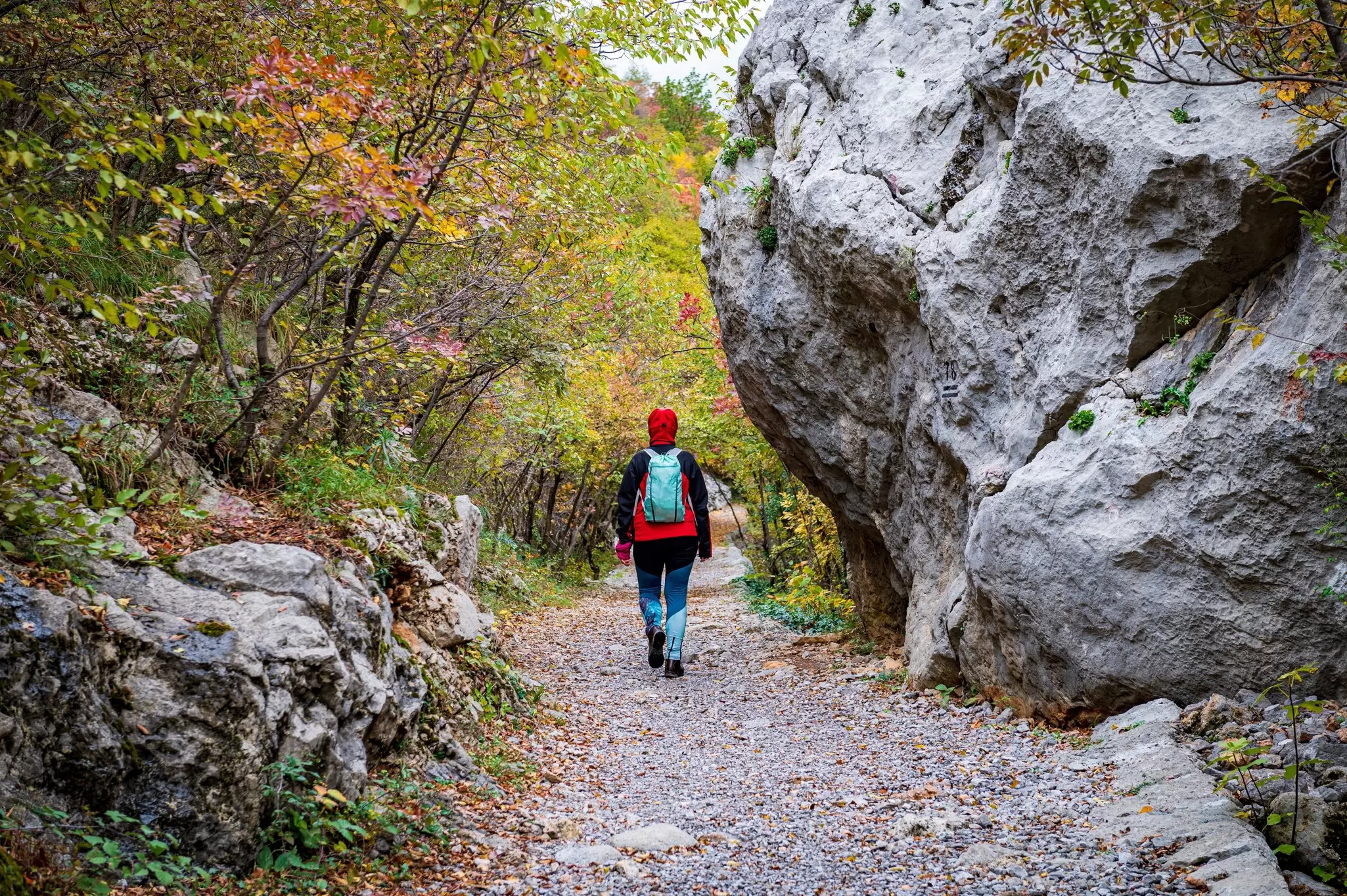 Female tourist hiking in a deciduous forest between rocks and stones in Paklenica National Park, Croatia.