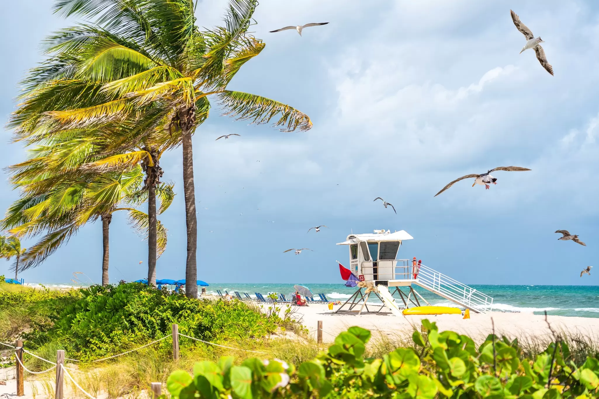 A lifeguard station on a beach is framed by palm trees and other greenery.