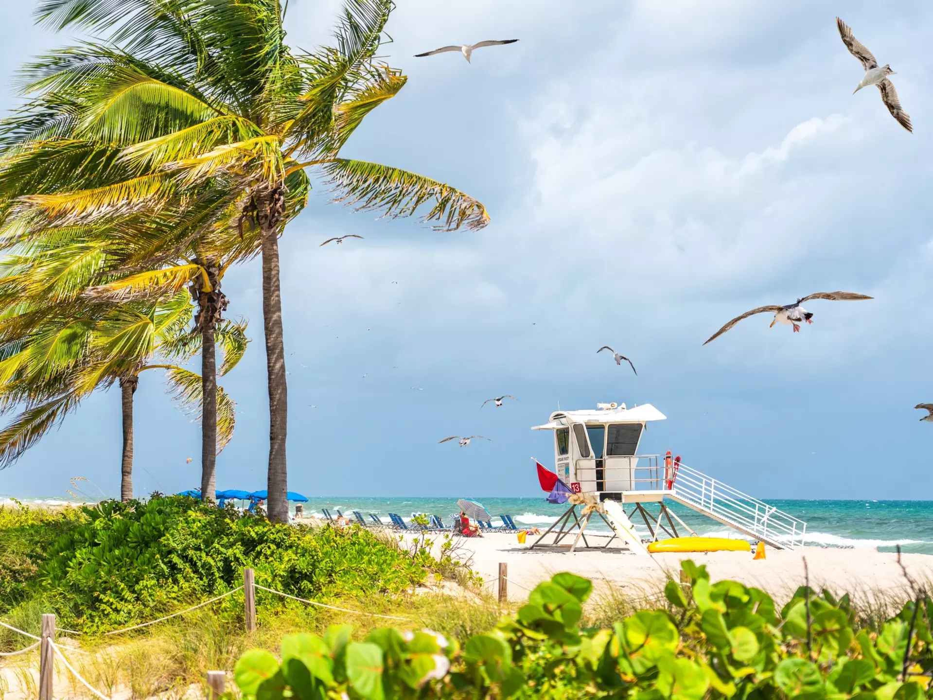 A lifeguard station on a beach is framed by palm trees and other greenery.