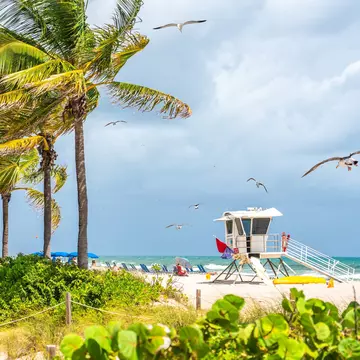 A lifeguard station on a beach is framed by palm trees and other greenery.