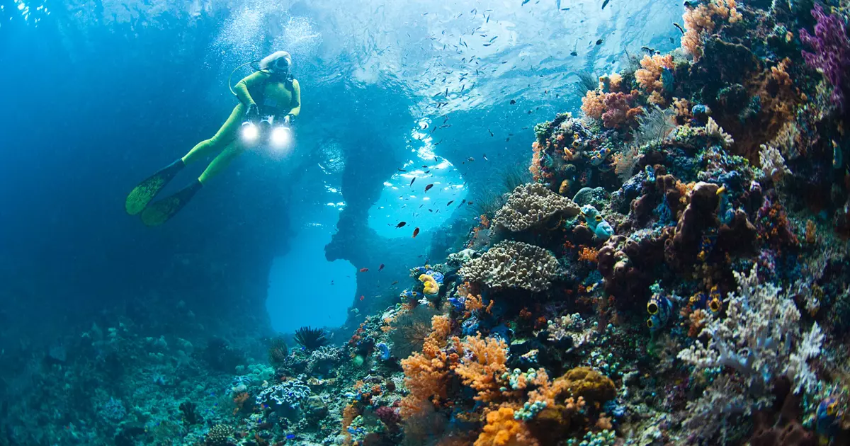 A guide to diving Indonesia's Raja Ampat Islands