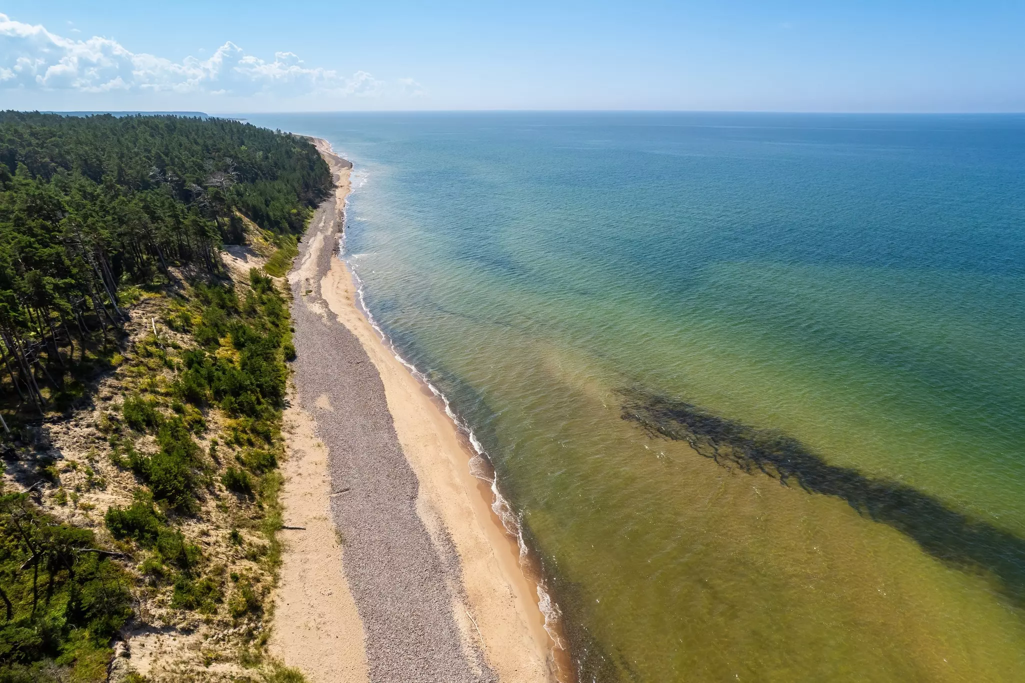 An empty sandy beach with forest on one side and ocean on the other.