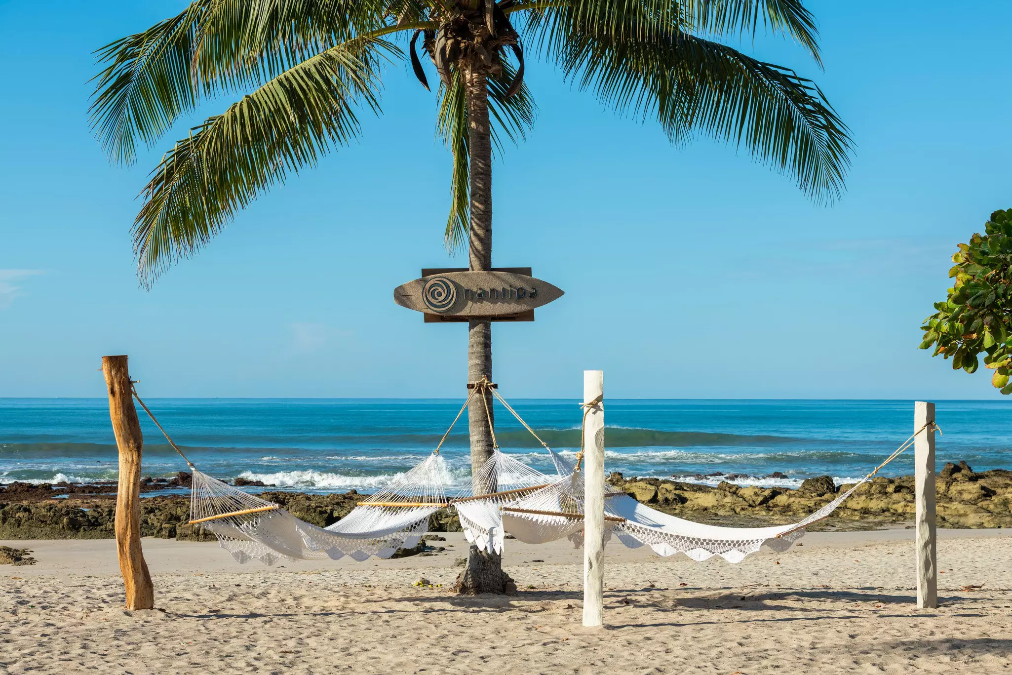 Hammocks on a beach near a palm tree featuring a wooden surf-board-like sign that says Nantipa.