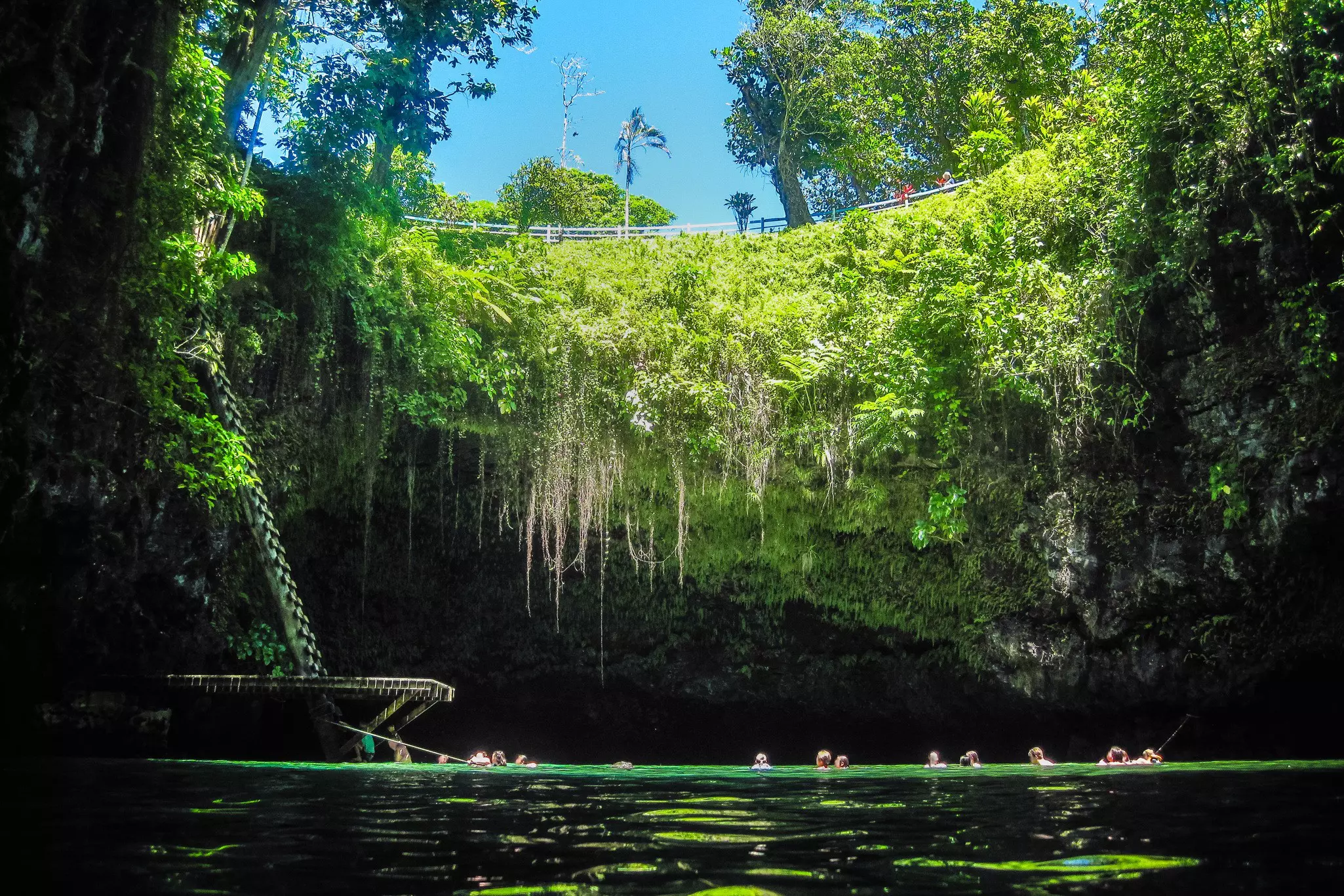 Swimmers in the green waters of a swimming hole surrounded by greenery.