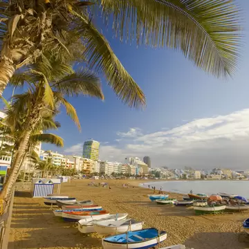 Painted rowing boats lined up on golden sand under a palm on Playa de Las Canteras in Las Palmas, high-rises along the bay.
