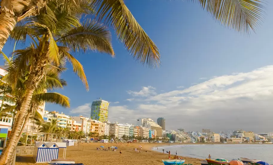 Painted rowing boats lined up on golden sand under a palm on Playa de Las Canteras in Las Palmas, high-rises along the bay.