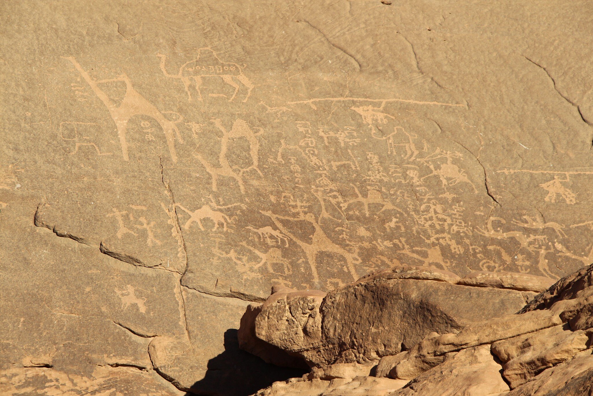 Jordan, Wadi Rum village - January 06, 2020: Petroglyphs (Alameleh inscriptions) of a caravan of camels on the sandstone rock in Wadi Rum desert in Jordan.; Shutterstock ID 1638494605;