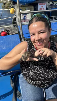Chamidae holds a baby alligator in Barataria