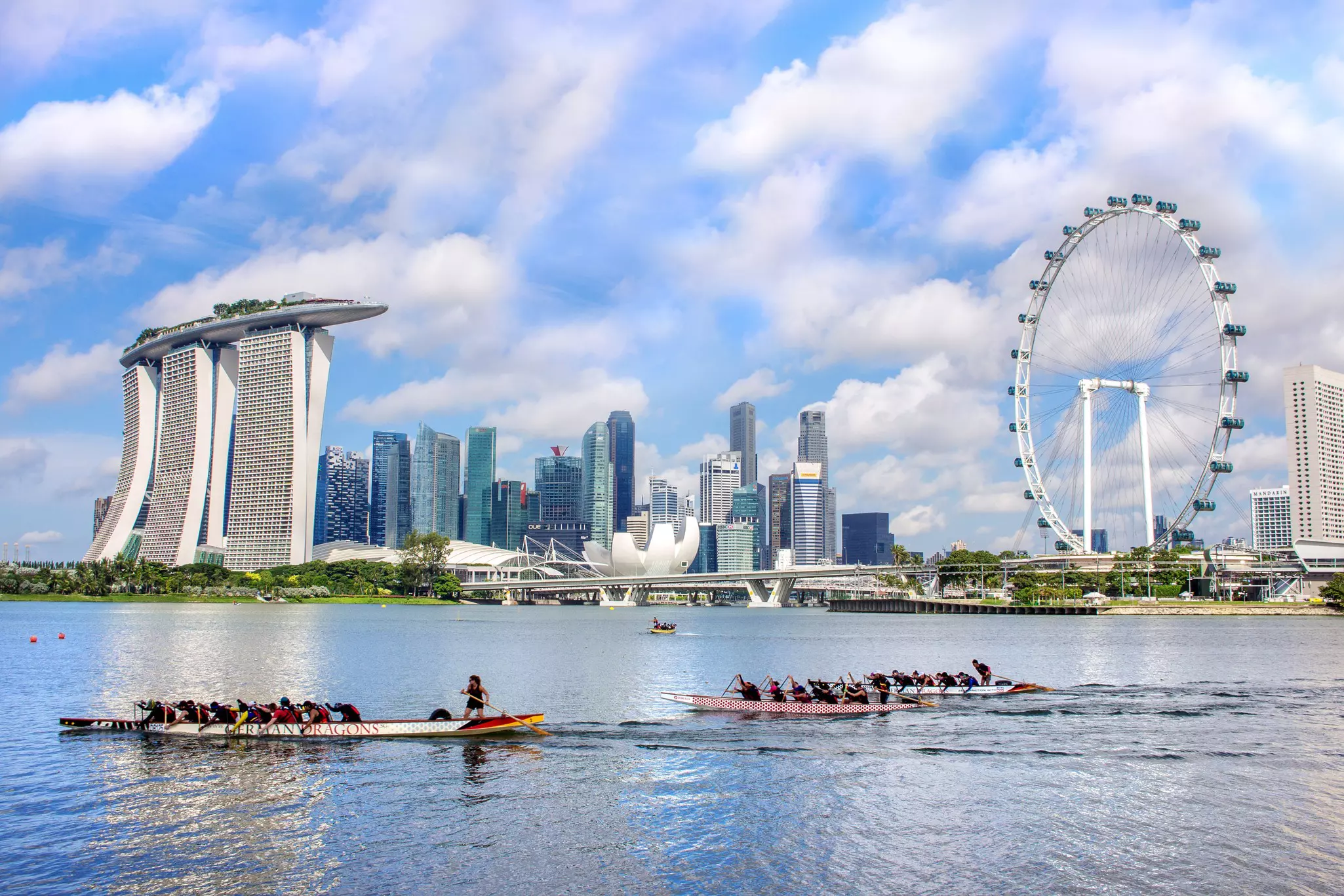 Narrow rowboats oared by crews glide on the water in front of office towers and a large Ferris wheel on the shore, in a city.
