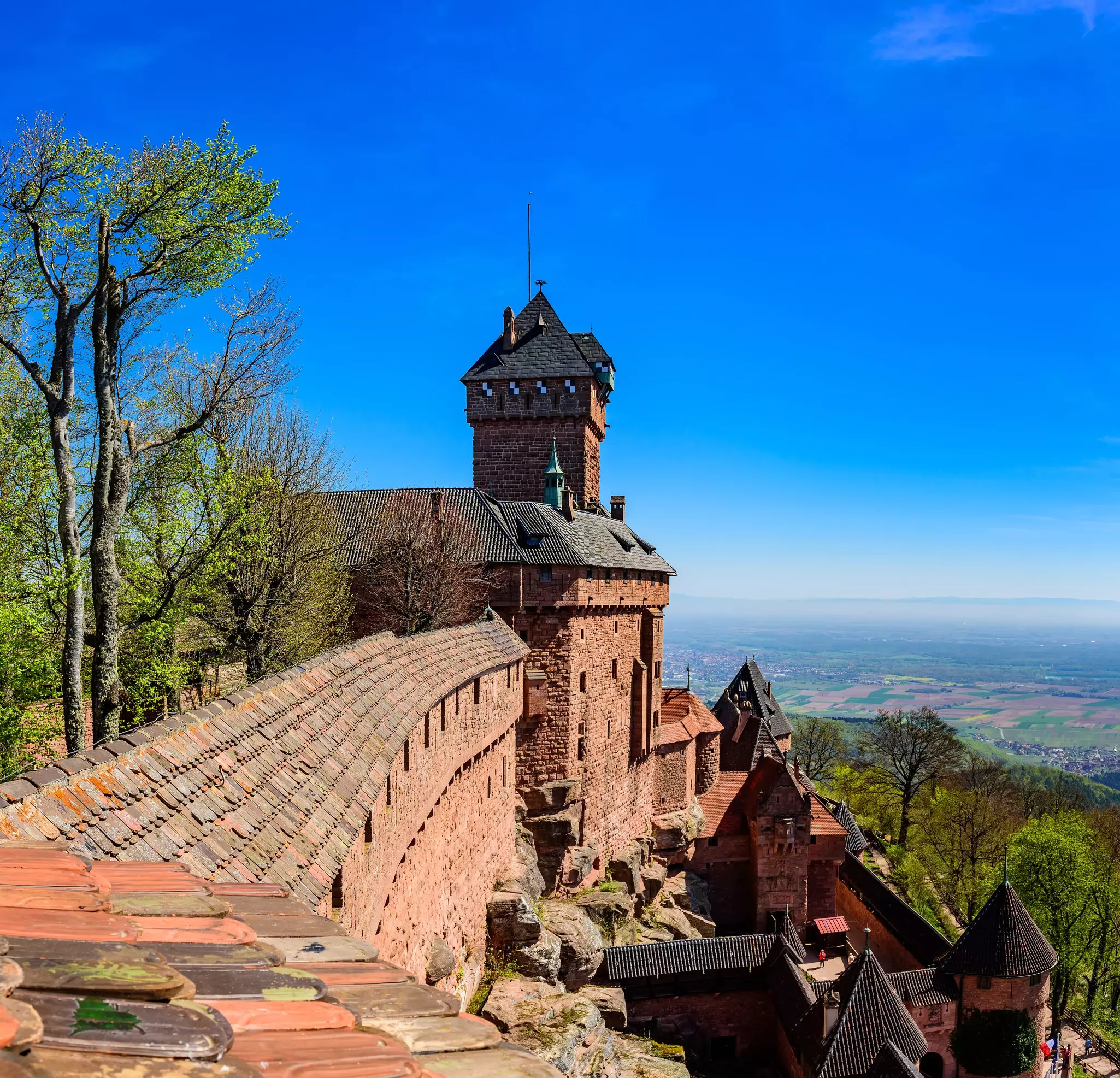 View from the wall of the Haut-Koenigsbourg castle ( Château du Haut-Kœnigsbourg ) over the Alsatian panorama and vineyards up to the Black Forest