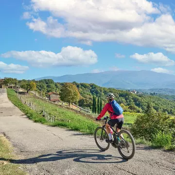 Tuscany is ideal for cyclists. Umomos / Shutterstock