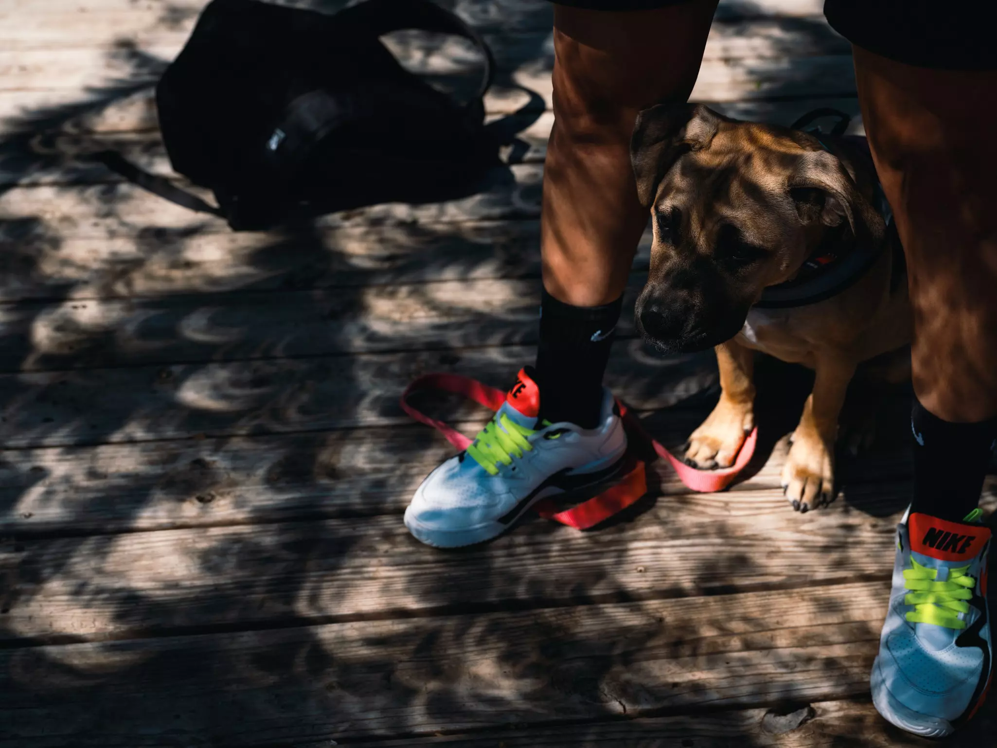 Don't forget to look down, too! Eclipses create incredible shadows @ Bloomberg / Getty Images