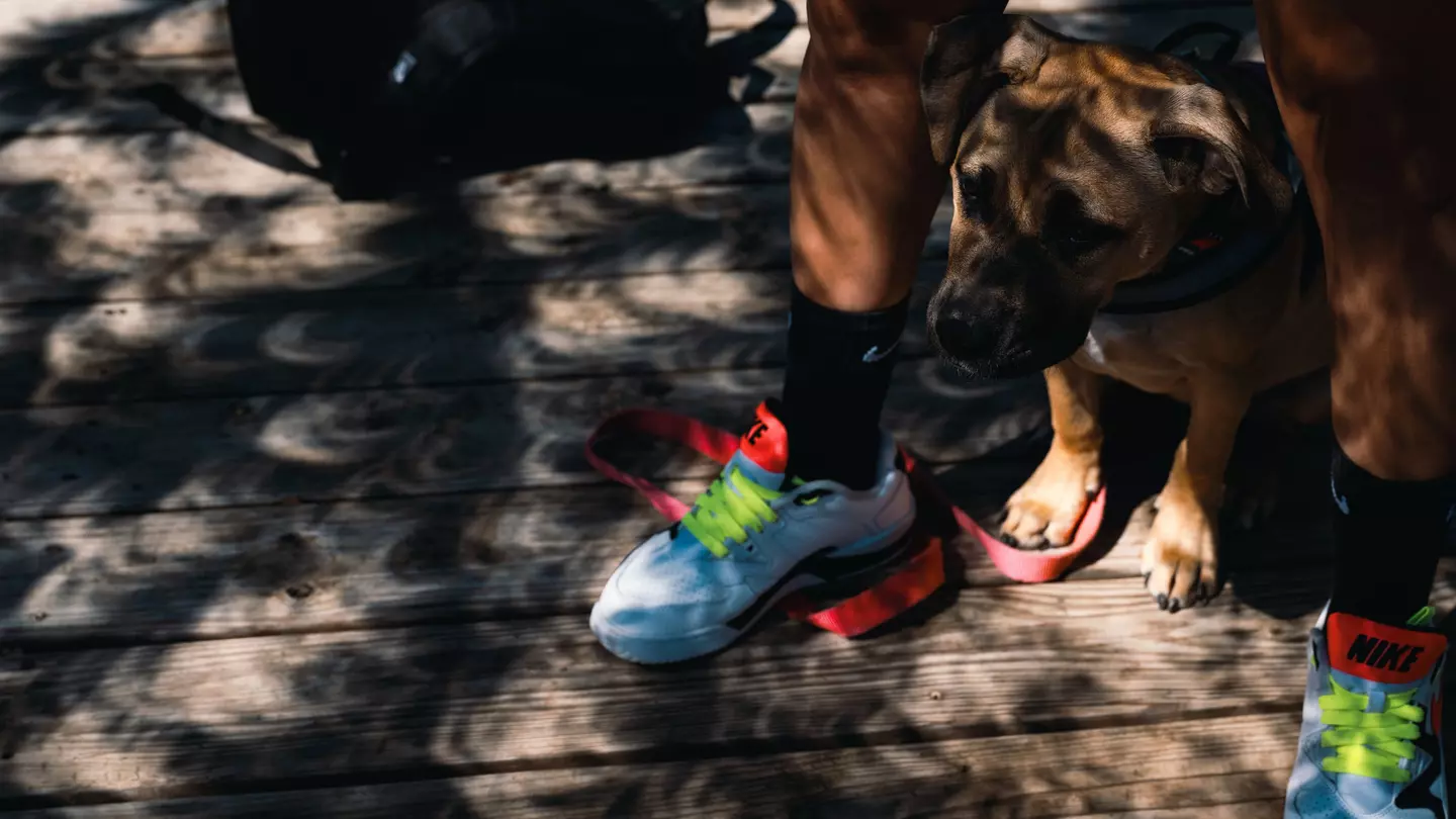 Don't forget to look down, too! Eclipses create incredible shadows @ Bloomberg / Getty Images