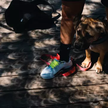 Don't forget to look down, too! Eclipses create incredible shadows @ Bloomberg / Getty Images