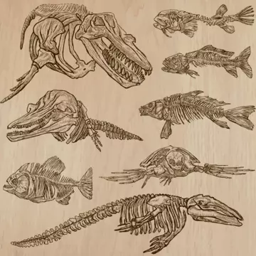 shutterstock_345979889.eps