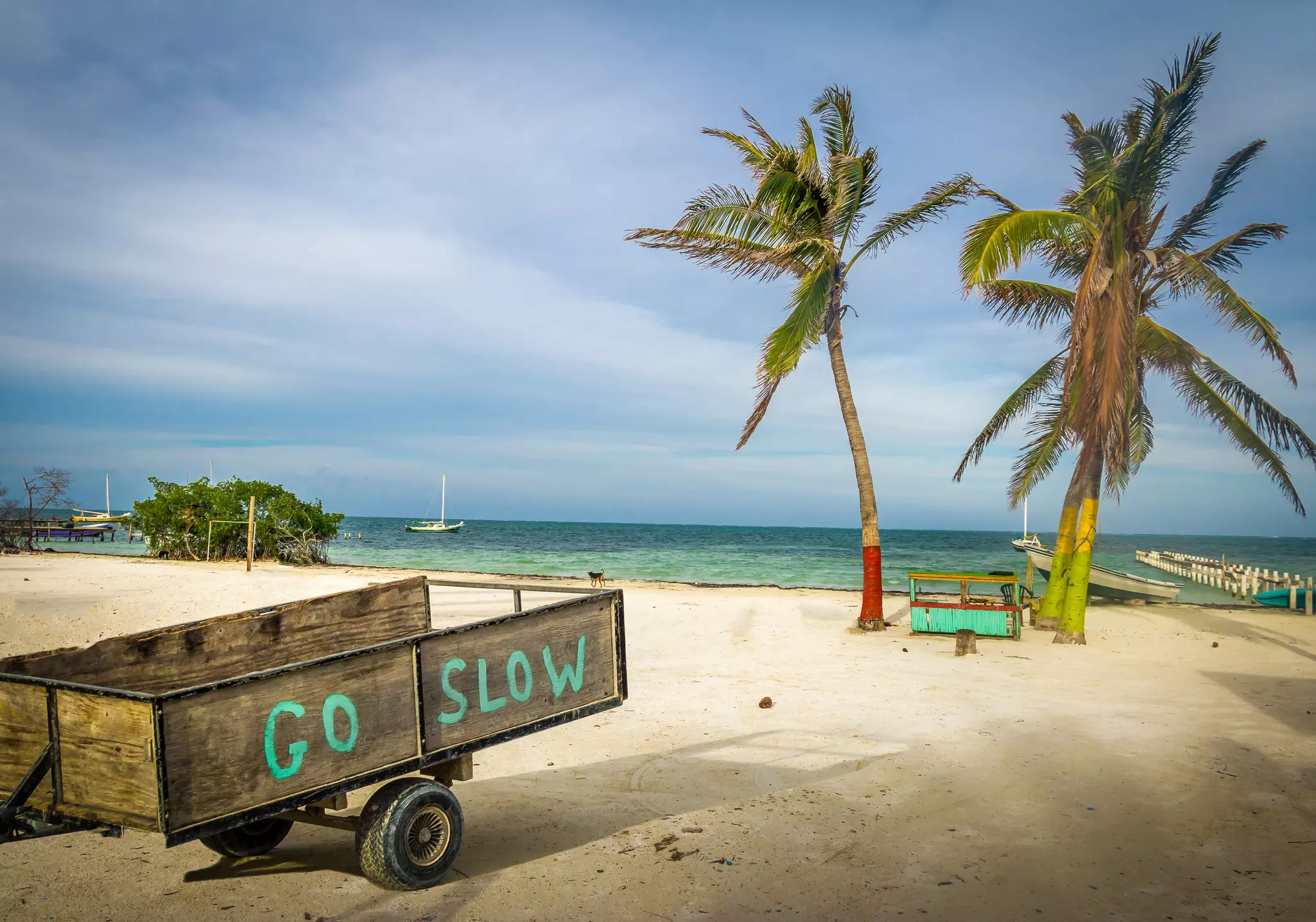A wooden cart with "Go slow" painted on the side in green is on a sandy beach with palm trees.