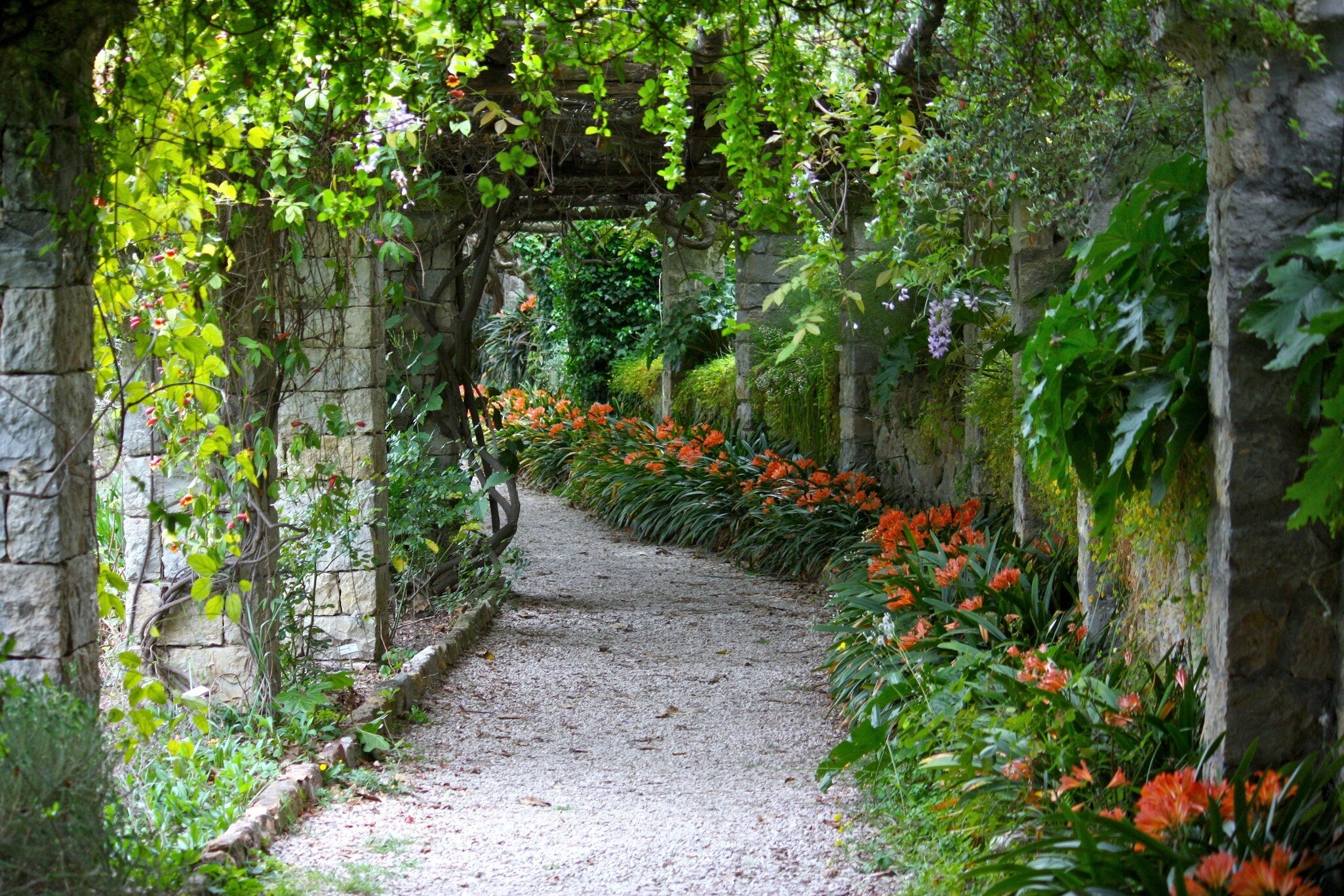 Green bower in Villa Hanbury Botanic Gardens, near Ventimiglia, Italian Riviera; Shutterstock ID 57018755;