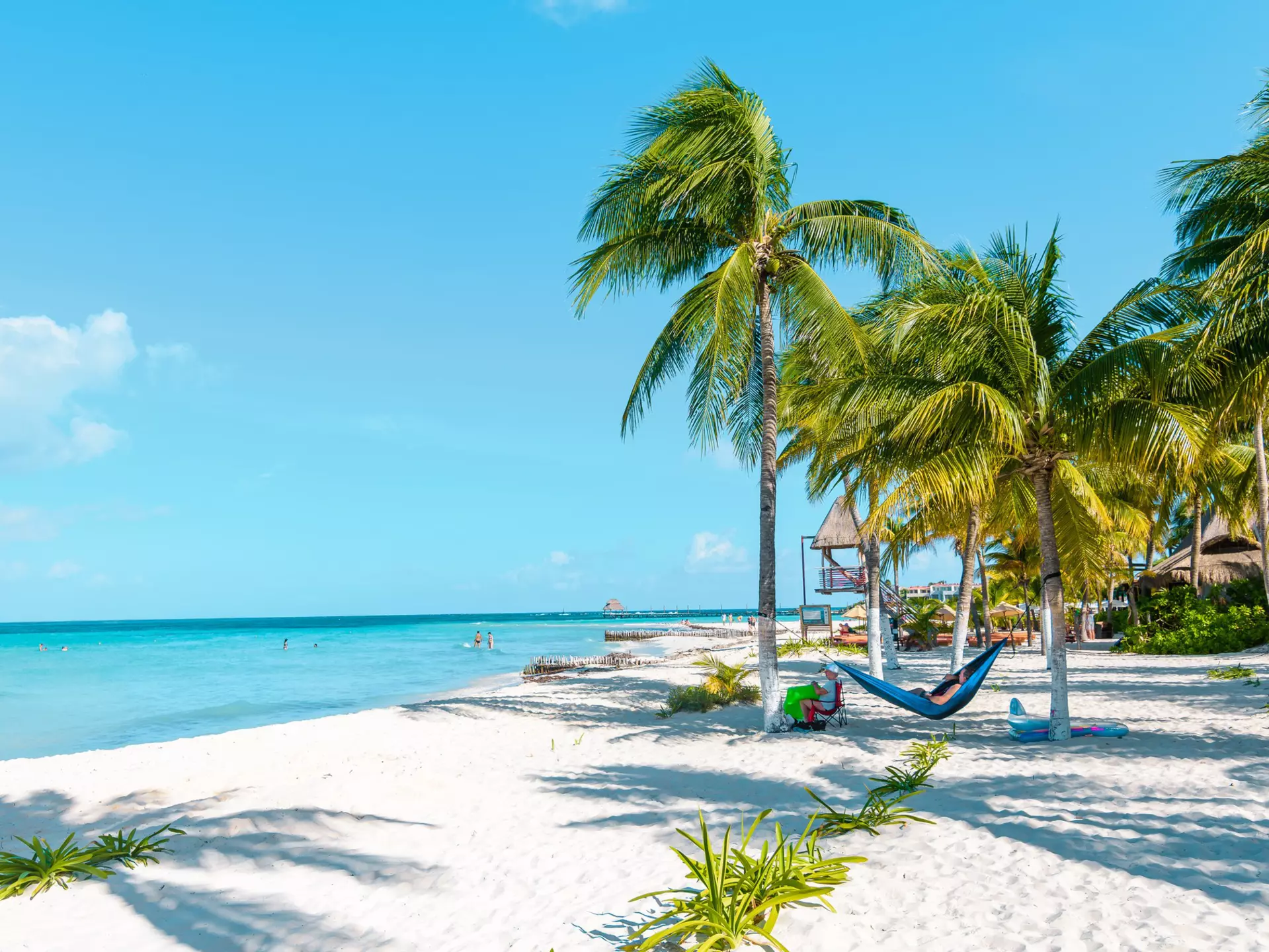 October 14, 2017: White sand and palm trees at Playa Norte on Isla Mujeres.
1184291095
beach, beach holiday, blue, cancun, cancun island, coast, holiday mexico, isla mujeres, island, landscape, mexico, mexico yucatan, nature, ocean, palm, paradise beach, playa norte, sand, sea, sky, summer, tourism, travel, tropical, vacation, water, yucatan, yucatan island