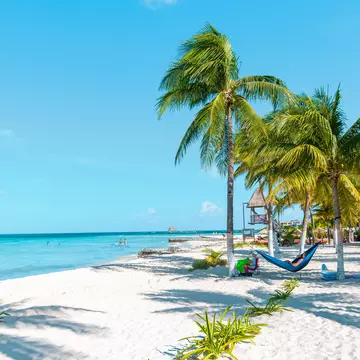October 14, 2017: White sand and palm trees at Playa Norte on Isla Mujeres.
1184291095
beach, beach holiday, blue, cancun, cancun island, coast, holiday mexico, isla mujeres, island, landscape, mexico, mexico yucatan, nature, ocean, palm, paradise beach, playa norte, sand, sea, sky, summer, tourism, travel, tropical, vacation, water, yucatan, yucatan island