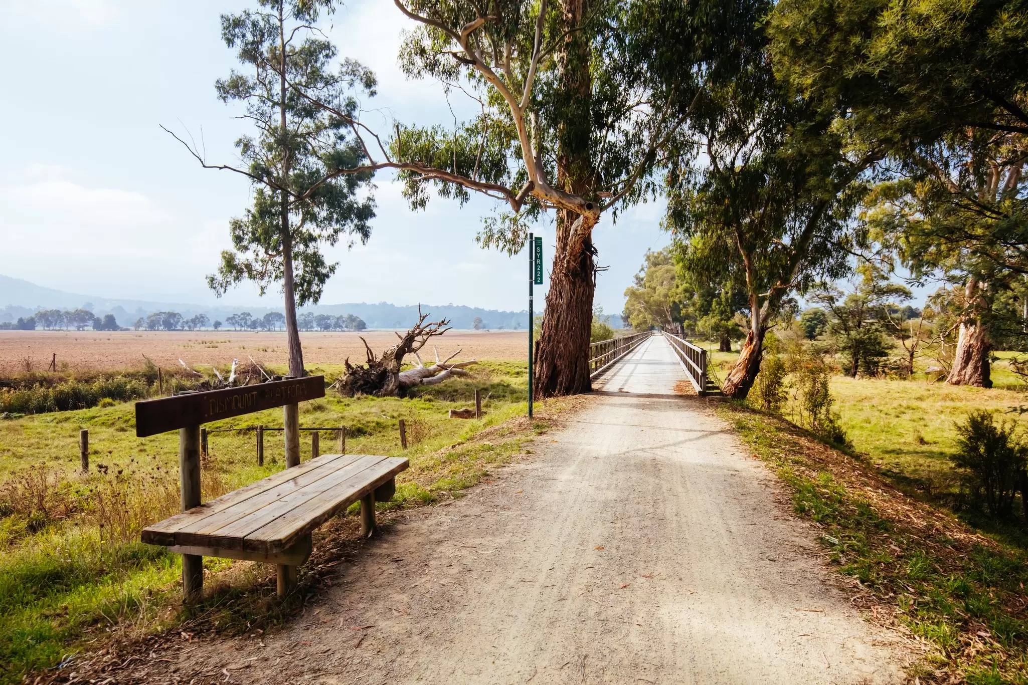 A wooden bench by a dirt path that leads to a bridge over a field.
