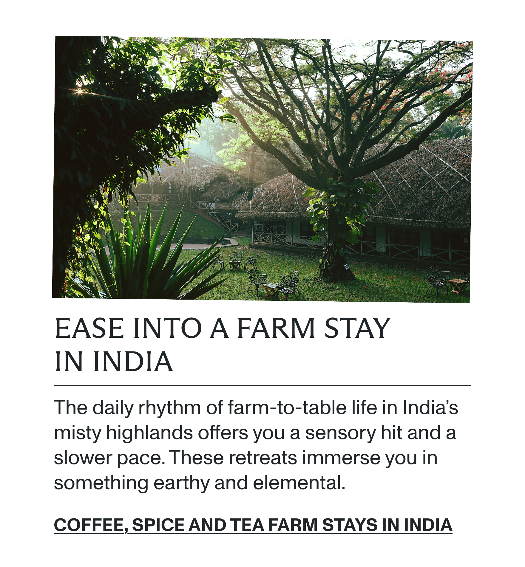 Coffee, spice and tea farm stays in India