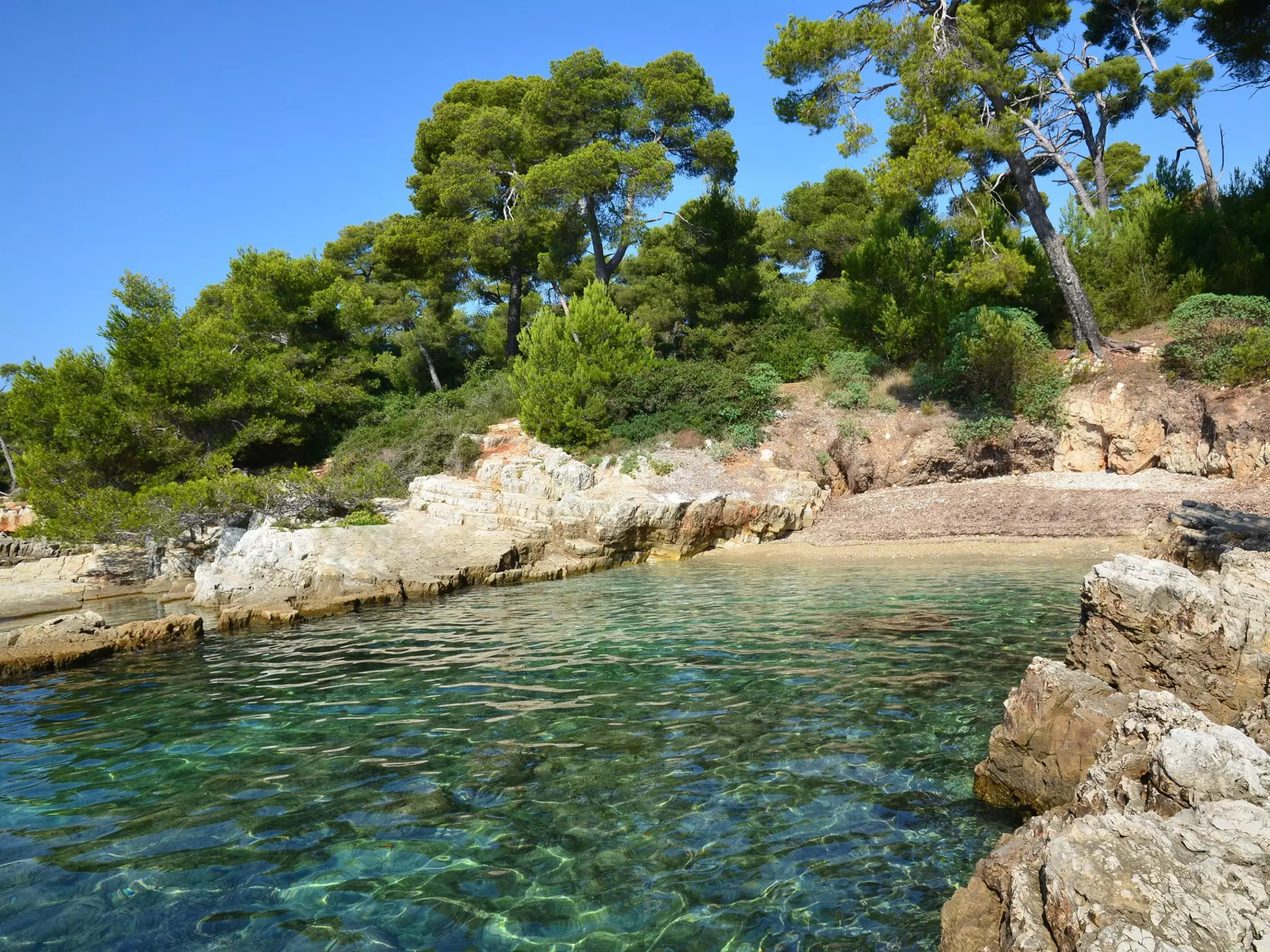 France, French Rivera, Cannes, Lérins islands, Sainte Marguerite island. This natural site in mediterranean sea is very preserved., License Type: media, Download Time: 2025-10-08T17:20:08.000Z, User: catalinaaragon, Editorial: false, purchase_order: 56530 - Guidebooks, job: Global Publishing WIP, client: Provence-6-sm-2025, other: CA