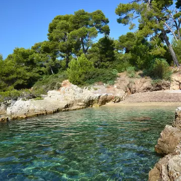 France, French Rivera, Cannes, Lérins islands, Sainte Marguerite island. This natural site in mediterranean sea is very preserved., License Type: media, Download Time: 2025-10-08T17:20:08.000Z, User: catalinaaragon, Editorial: false, purchase_order: 56530 - Guidebooks, job: Global Publishing WIP, client: Provence-6-sm-2025, other: CA