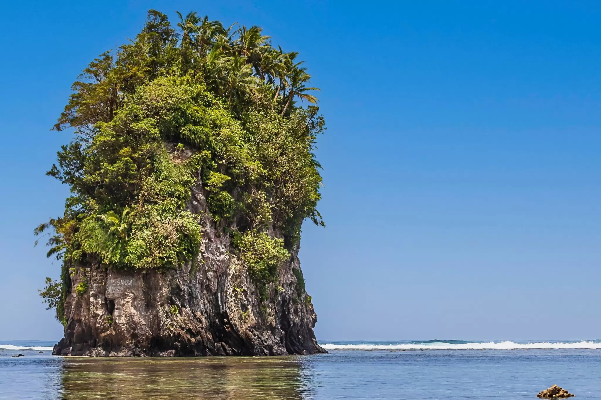 A small rocky island covered in green vegetation.