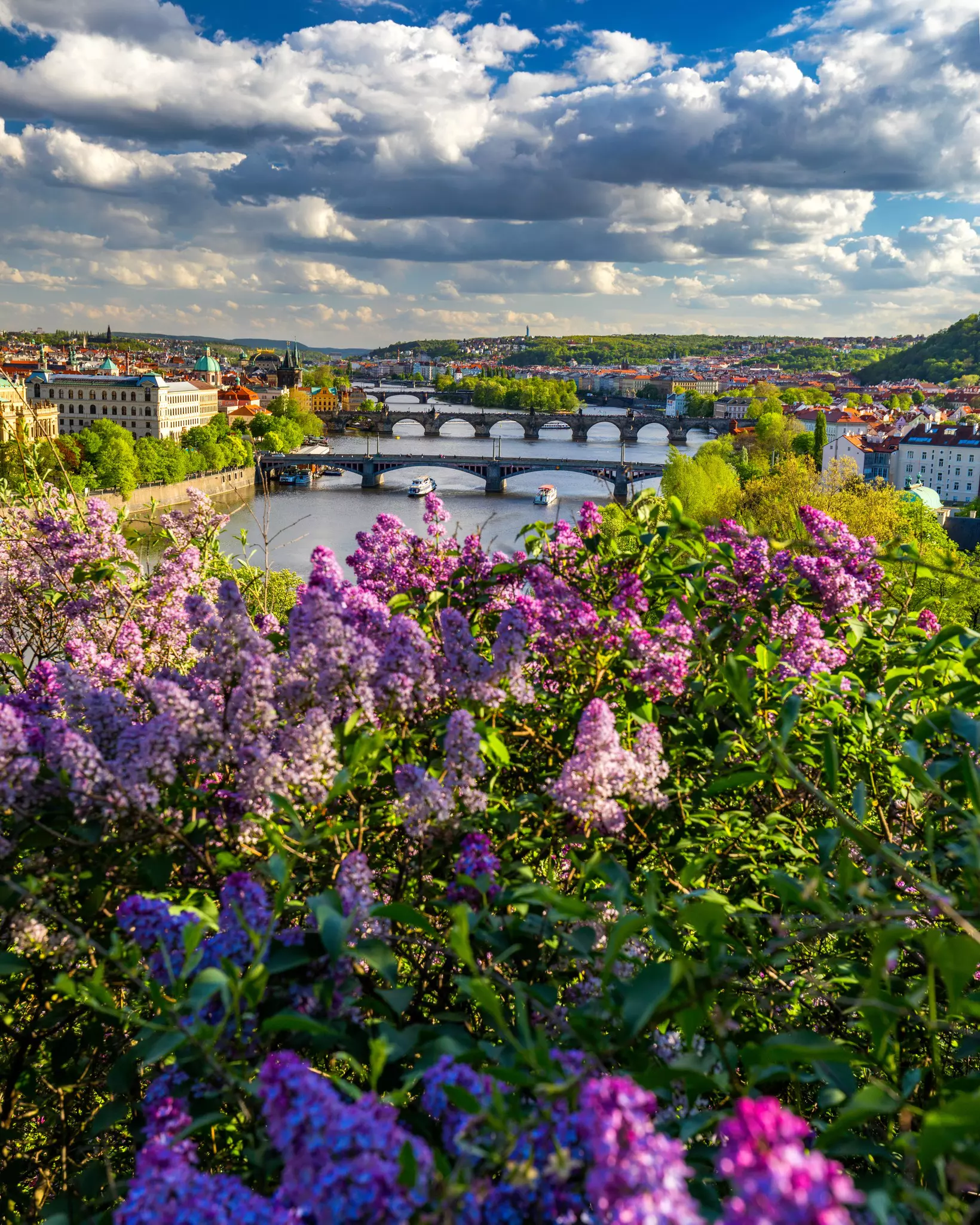 Amazing spring cityscape, Vltava river and old city center with colorful lilac blooming in Letna park, Prague, Czechia.