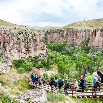 Visitors descending a wooden stairway into a green river gorge walled by banded rock cliffs.