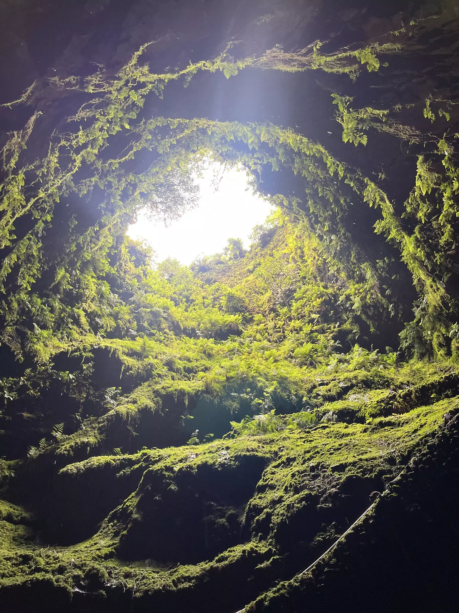 Looking up to the sky from inside a dormant volcano in the Azores; the surface is covered in moss and greenery.