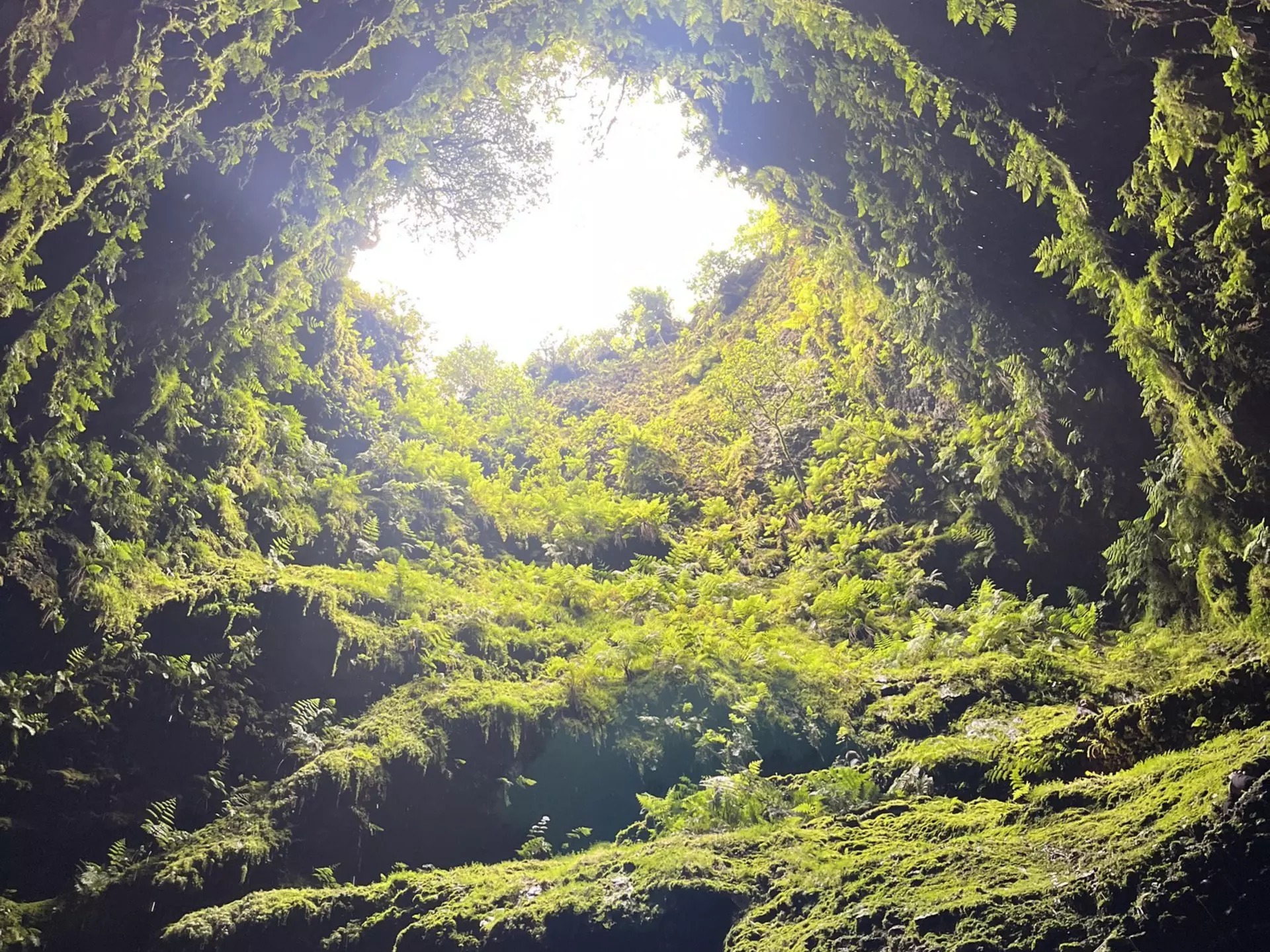 Looking up to the sky from inside a dormant volcano in the Azores; the surface is covered in moss and greenery.