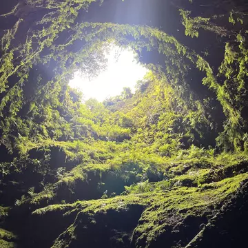 Looking up to the sky from inside a dormant volcano in the Azores; the surface is covered in moss and greenery.