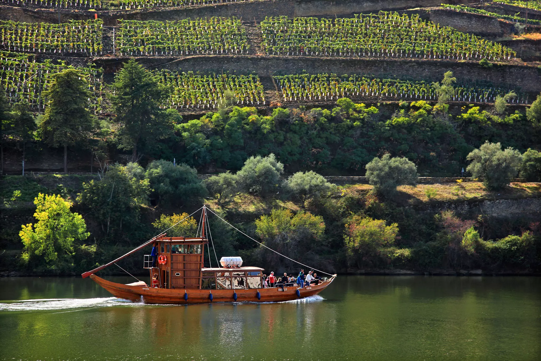 A traditional wooden boat sails on a river in Portugal past rows of grapevines.