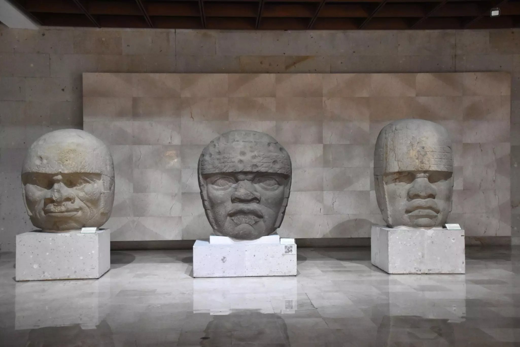 Three large, carved stone heads displayed on plinths in a museum.